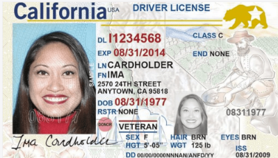 Driver's License Sample